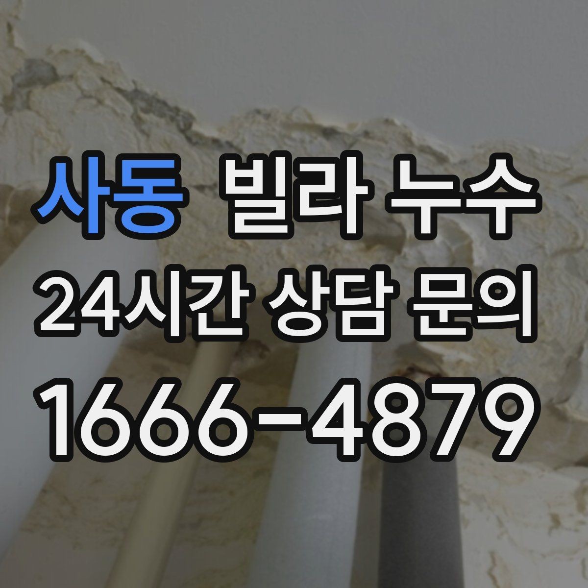 사동 빌라 누수 물받이·비닐 보호로 피해를 줄이는 방법