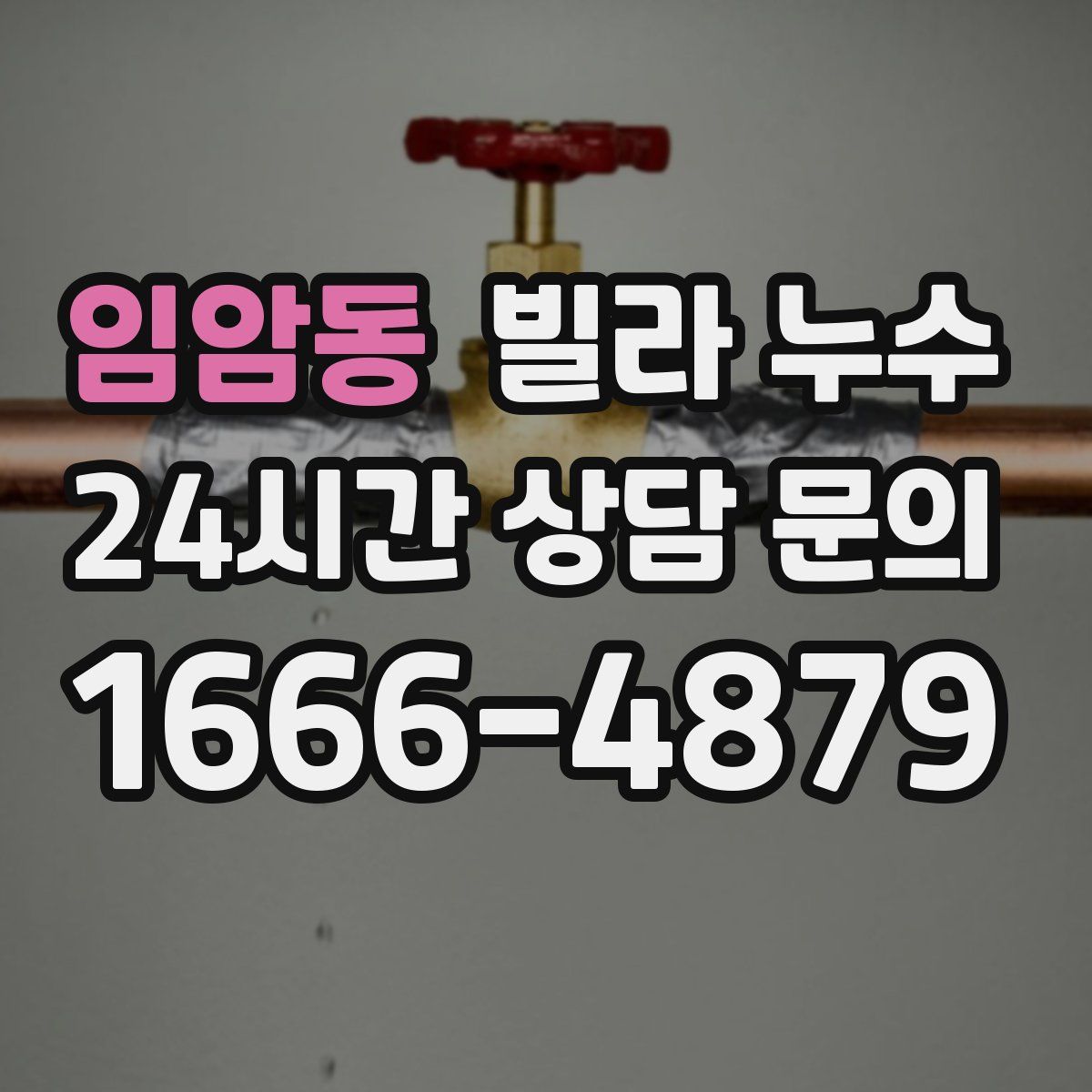 임암동 빌라 누수