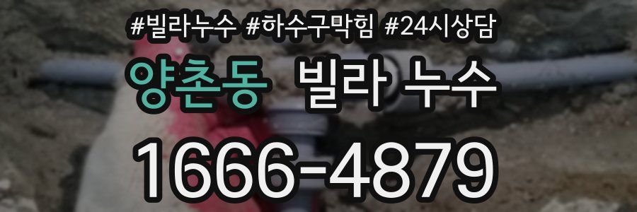 양촌동 빌라 누수
