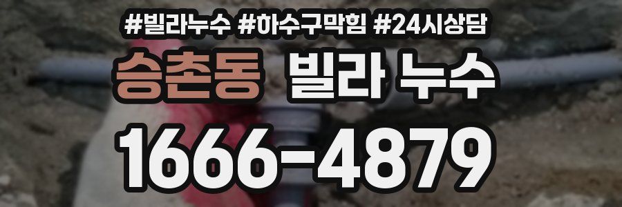 승촌동 빌라 누수
