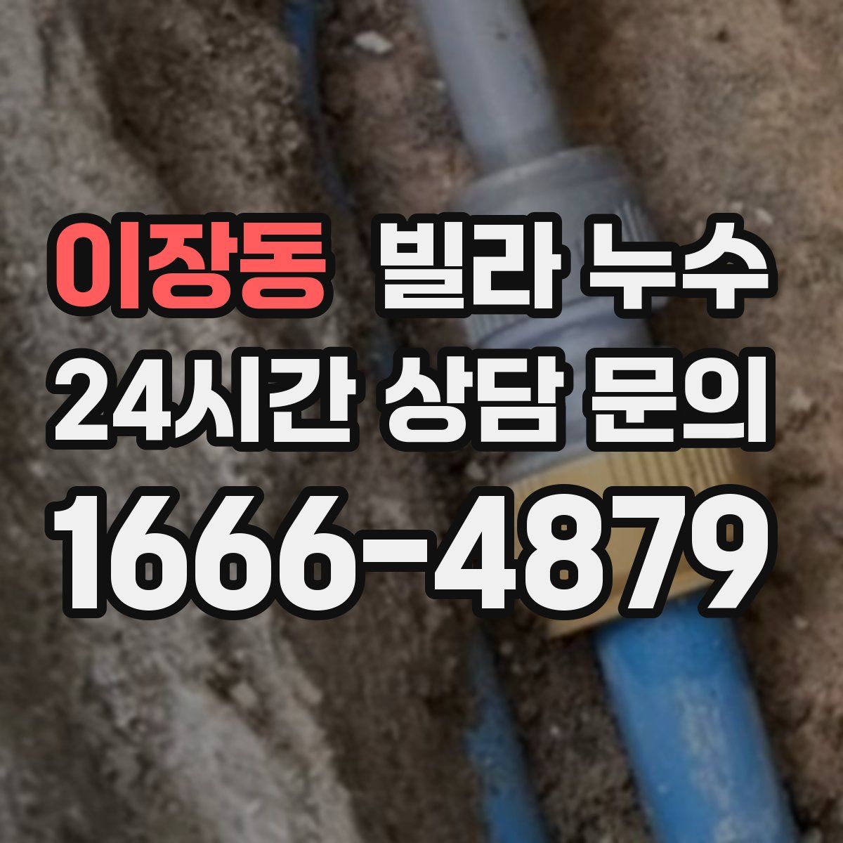 이장동 빌라 누수