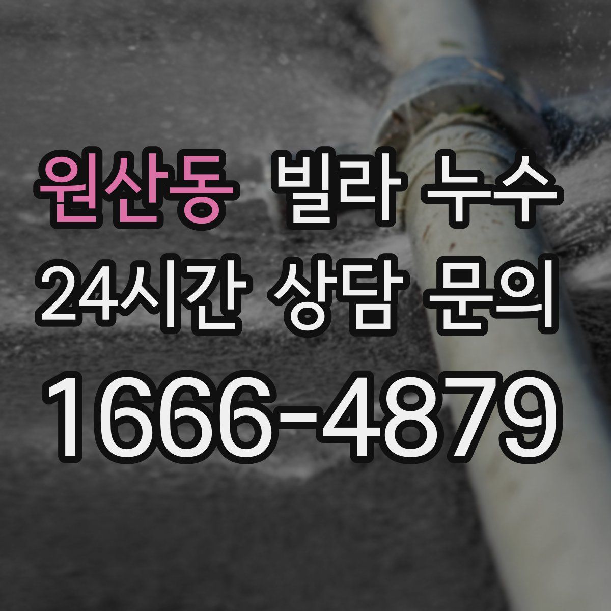 원산동 빌라 누수