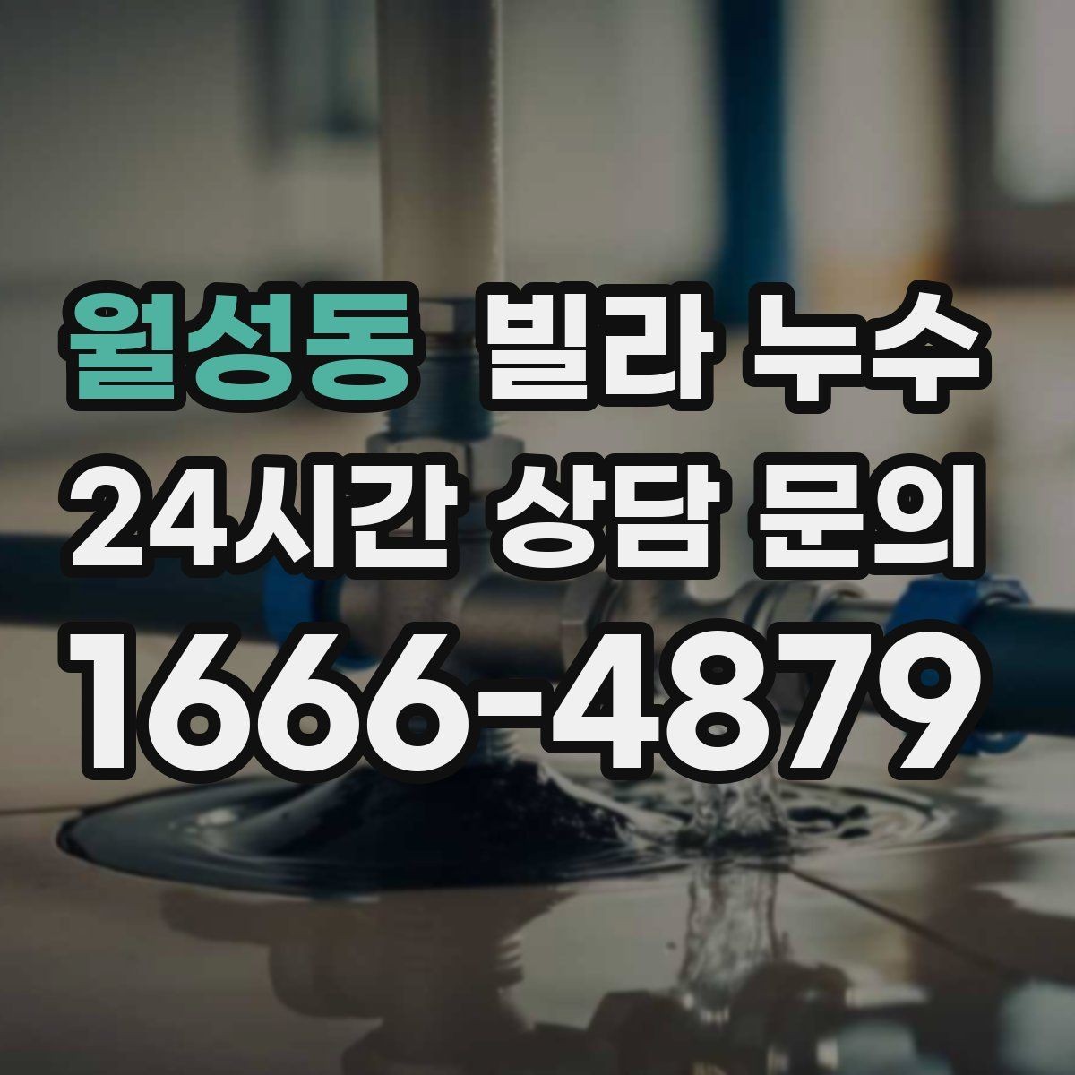 월성동 빌라 누수 겨울철 결로와 함께 나타나는 문제 정리