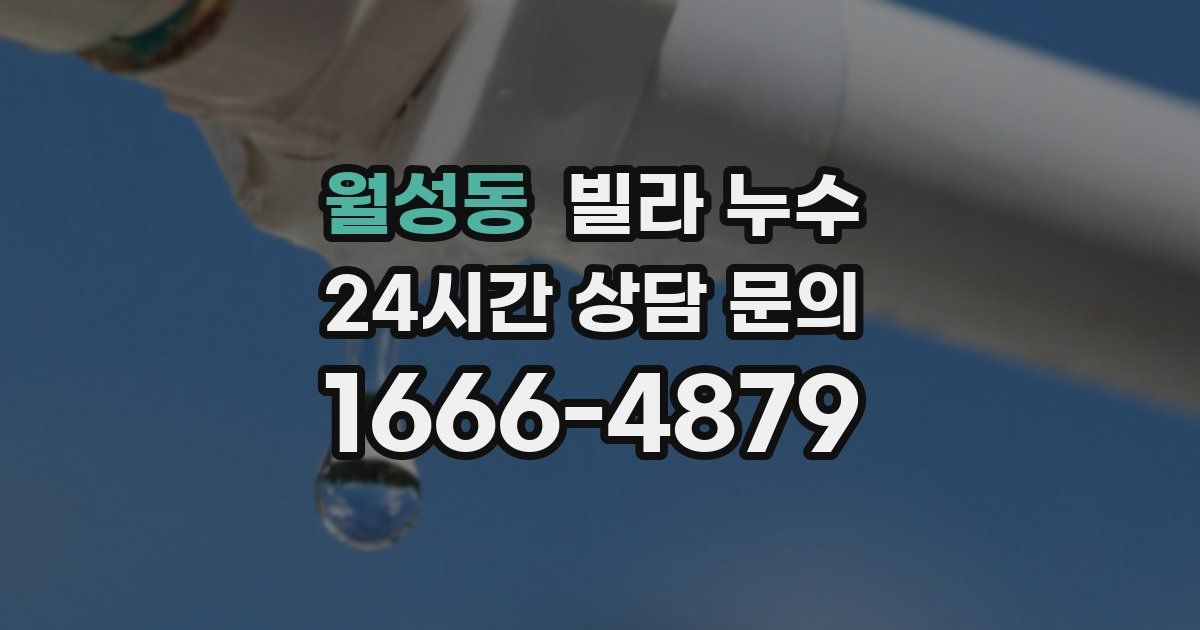 월성동 빌라 누수