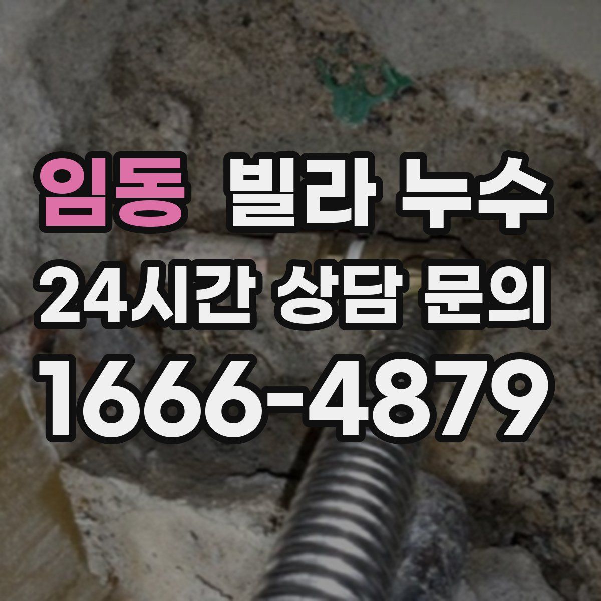 임동 빌라 누수