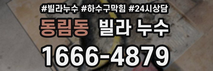 동림동 빌라 누수