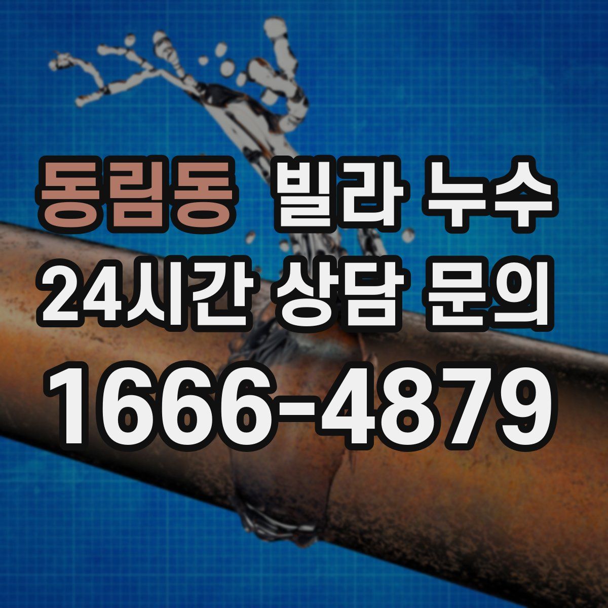 동림동 빌라 누수