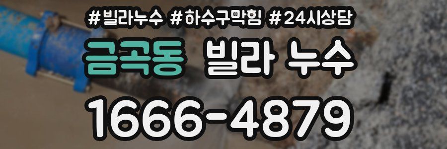 금곡동 빌라 누수