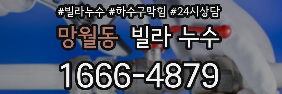 망월동 빌라 누수