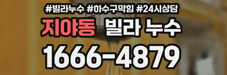 지야동 빌라 누수