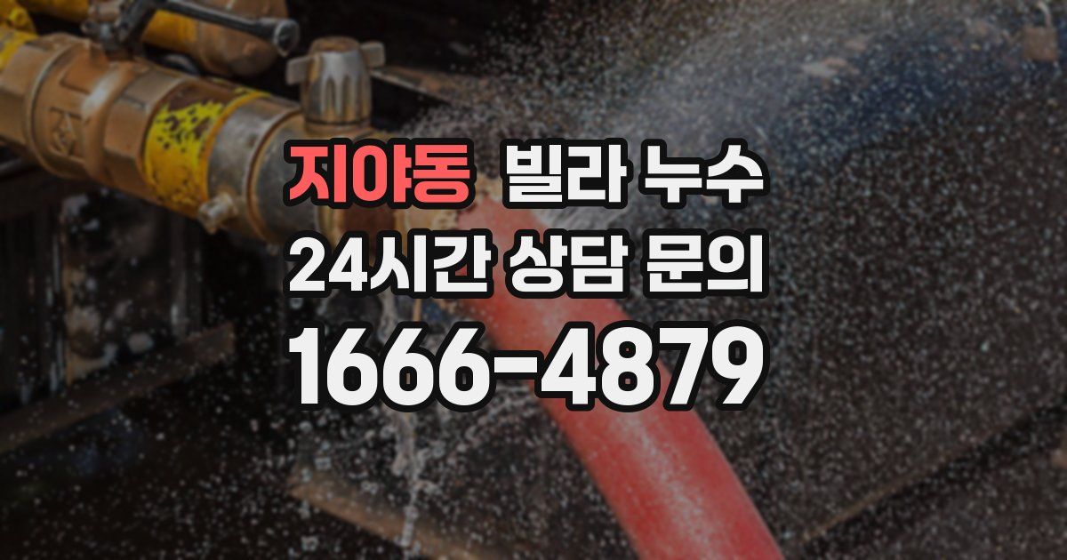지야동 빌라 누수
