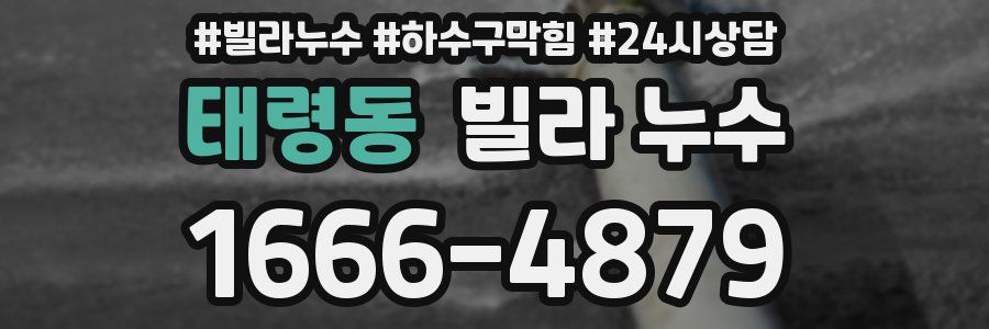 태령동 빌라 누수