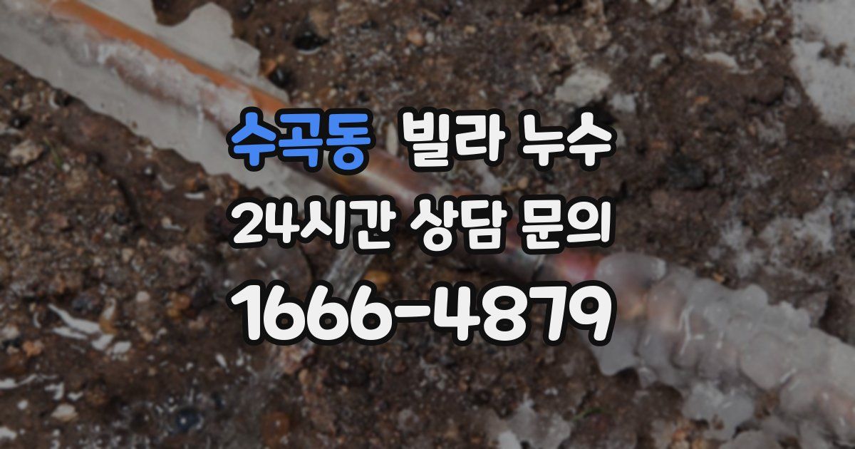 수곡동 빌라 누수