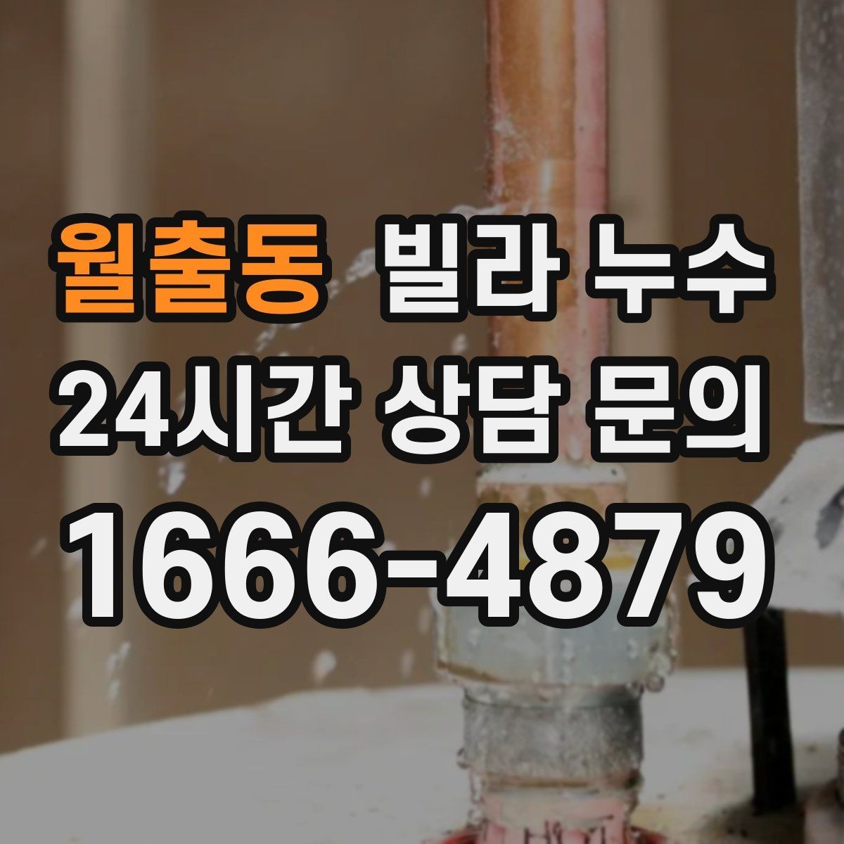 월출동 빌라 누수 옥상 가까운 방 천장에 얼룩이 생기면