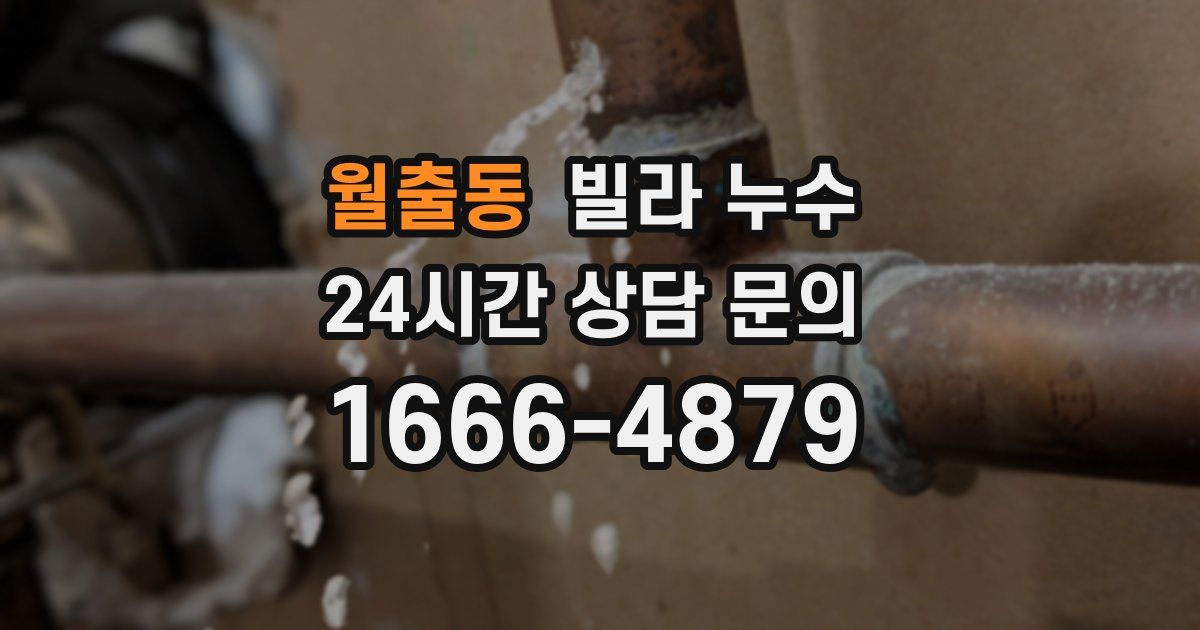 월출동 빌라 누수