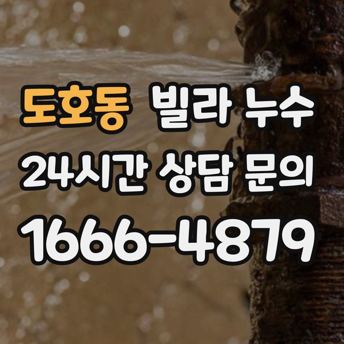 도호동 빌라 누수