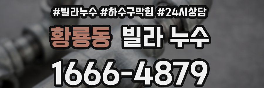 황룡동 빌라 누수