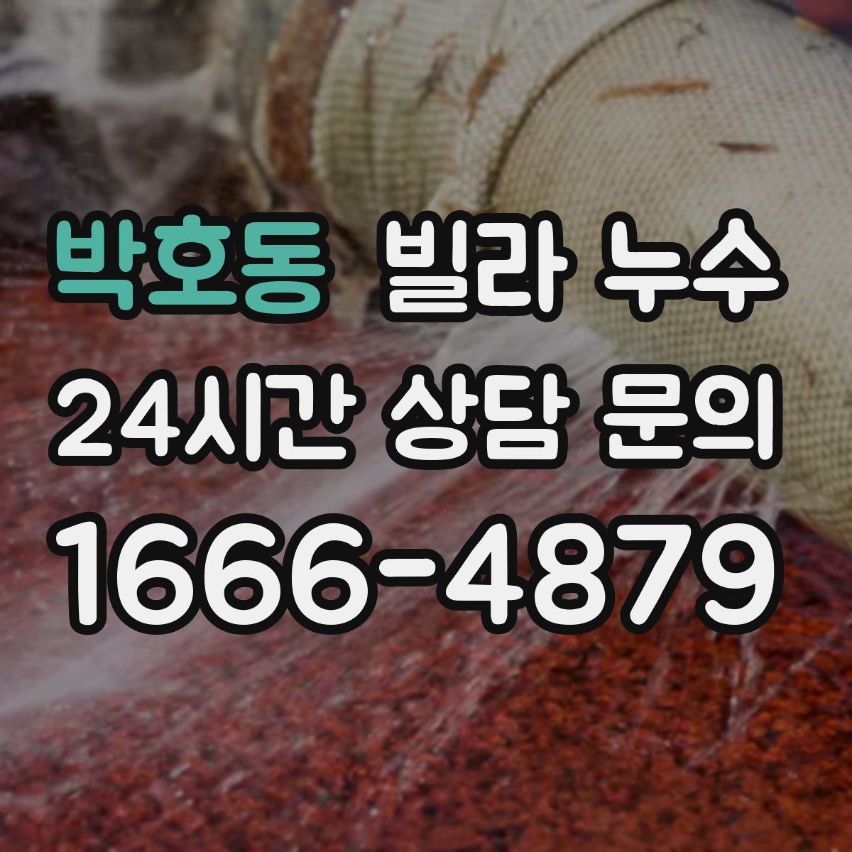 박호동 빌라 누수