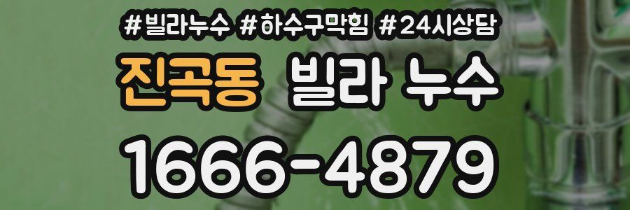 진곡동 빌라 누수