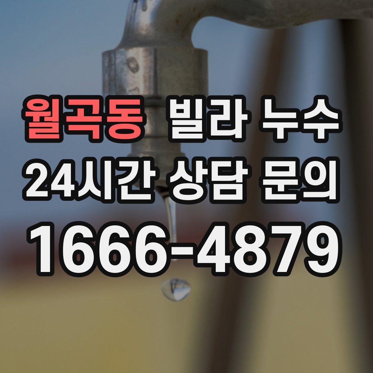 월곡동 빌라 누수 장마철에만 반복되는 누수의 특징