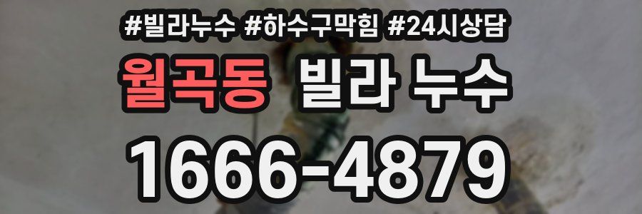 월곡동 빌라 누수