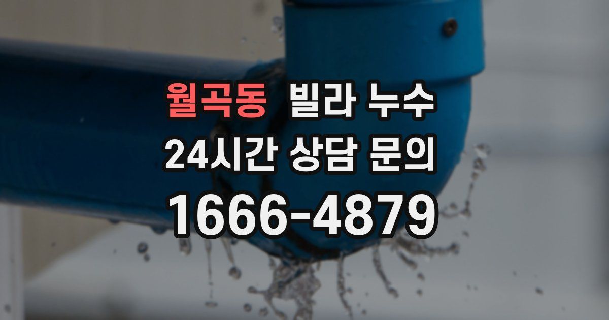 월곡동 빌라 누수