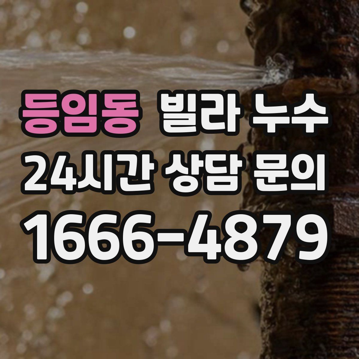 등임동 빌라 누수 주말에만 심해지는 듯 보이면 원인 추적