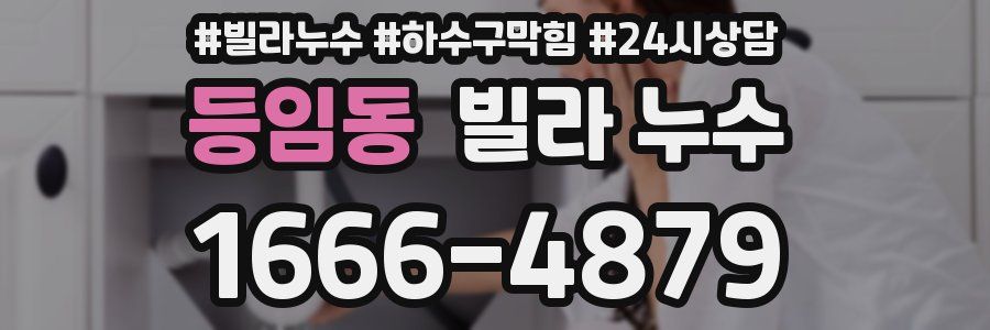 등임동 빌라 누수