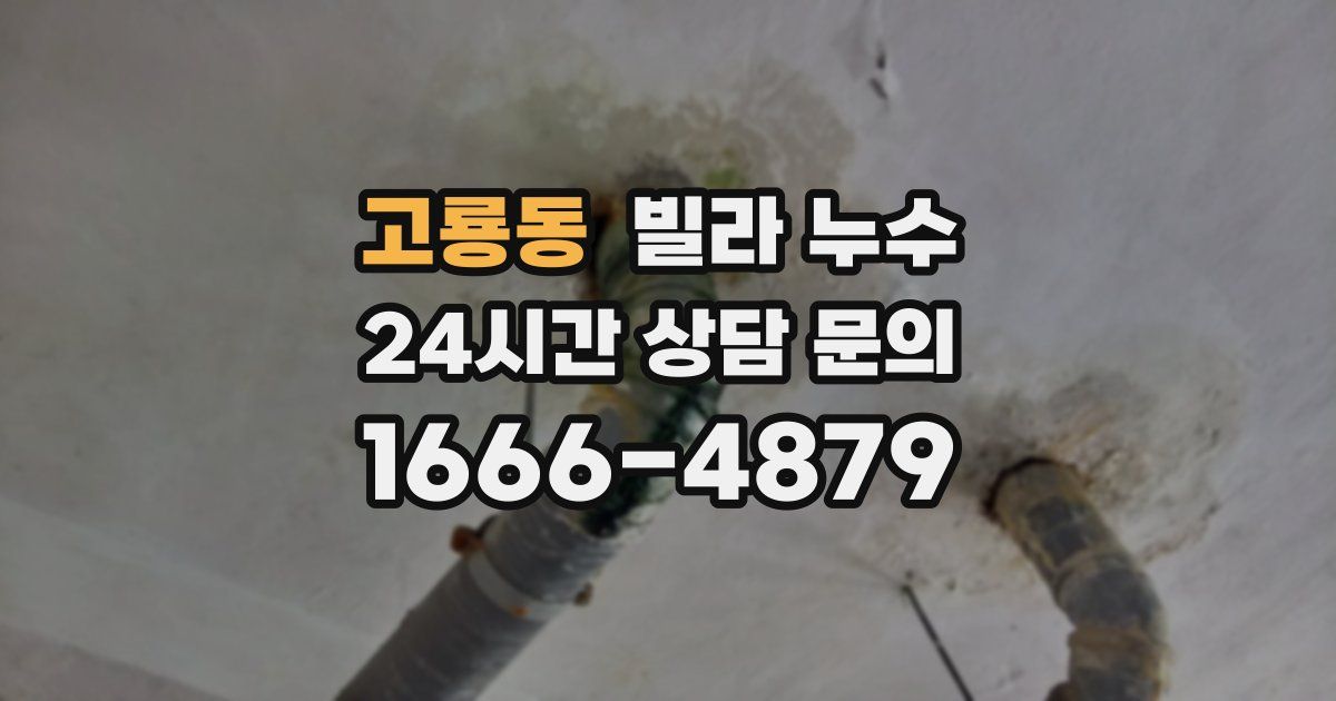 고룡동 빌라 누수
