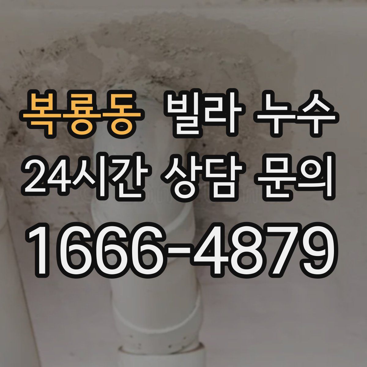 복룡동 빌라 누수