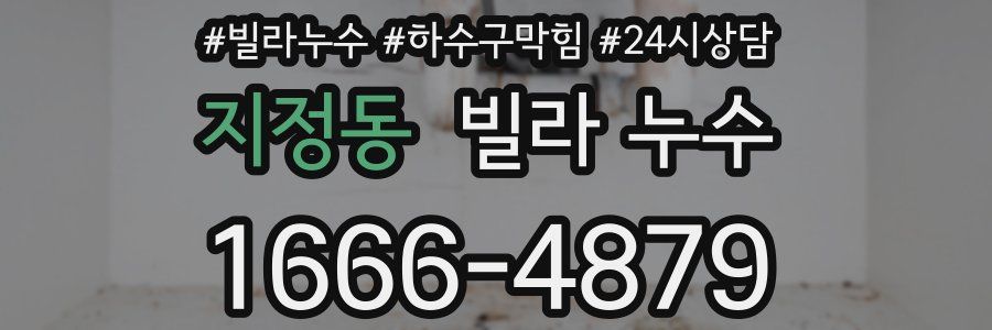지정동 빌라 누수