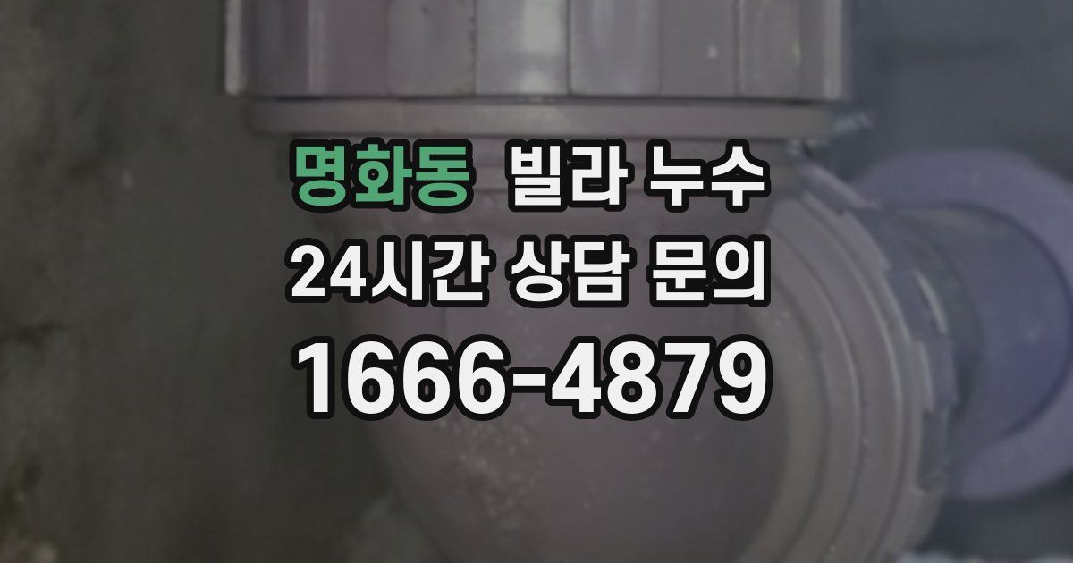 명화동 빌라 누수