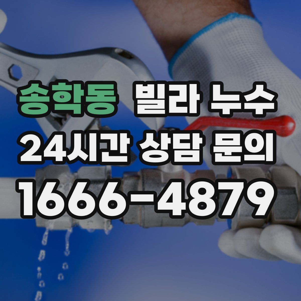 송학동 빌라 누수 세탁기 호스 주변 누수로 바닥이 젖는 경우