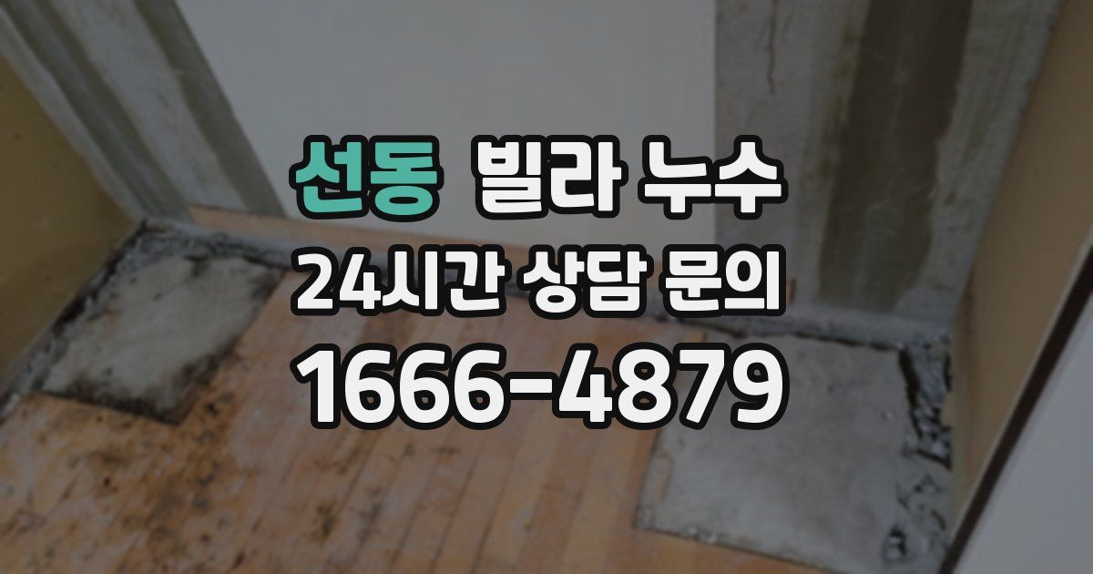 선동 빌라 누수