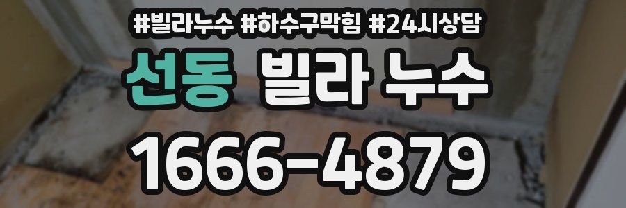 선동 빌라 누수