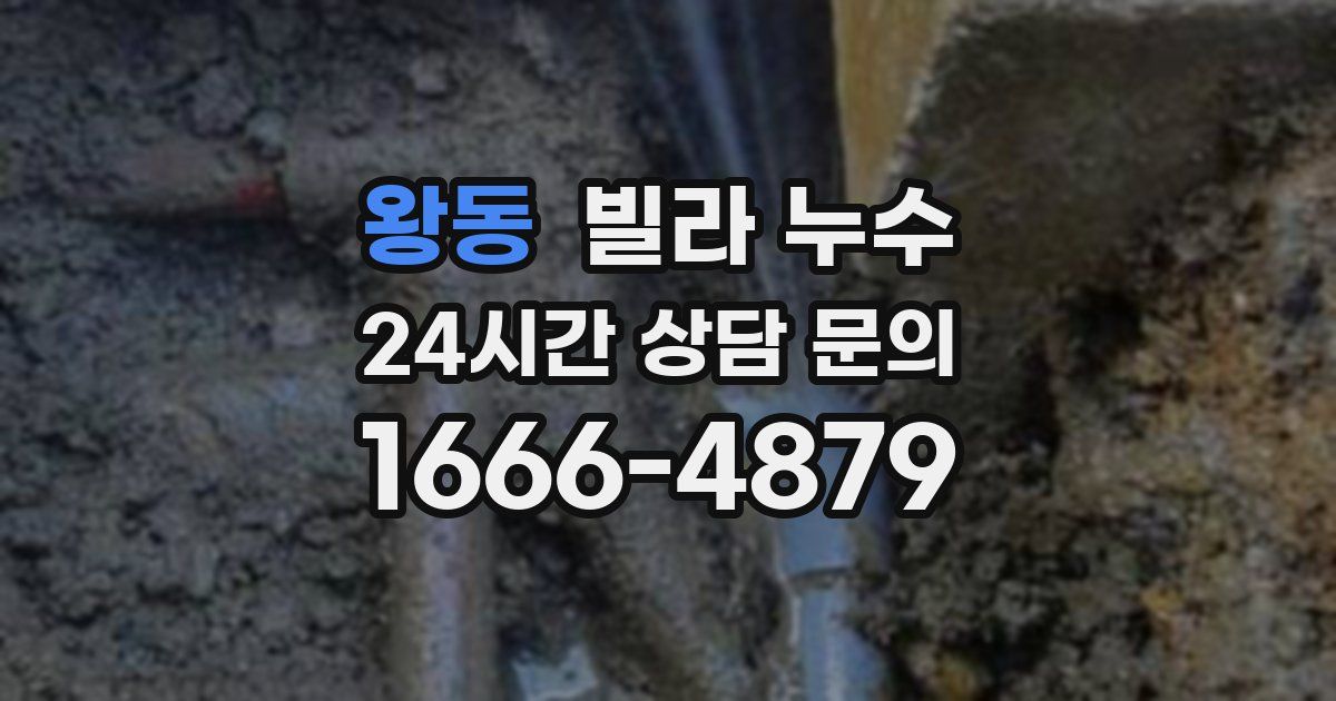 왕동 빌라 누수