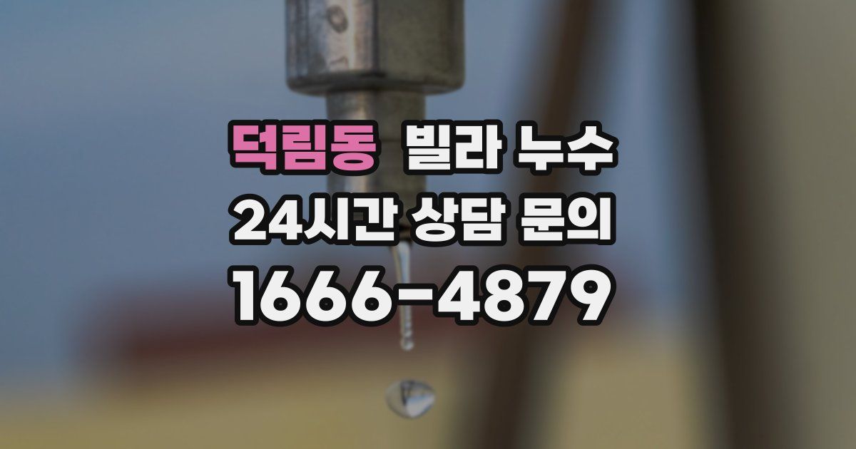 덕림동 빌라 누수