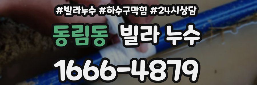 동림동 빌라 누수