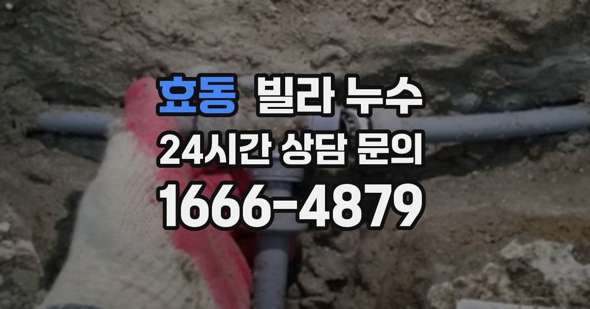 효동 빌라 누수