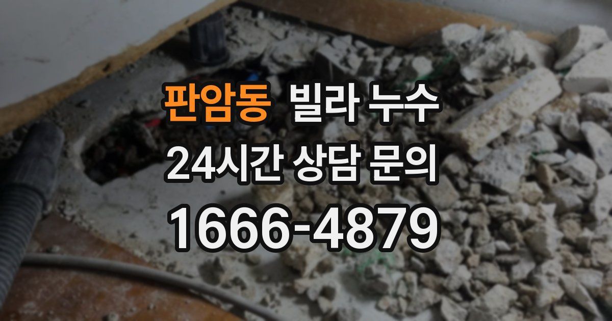 판암동 빌라 누수