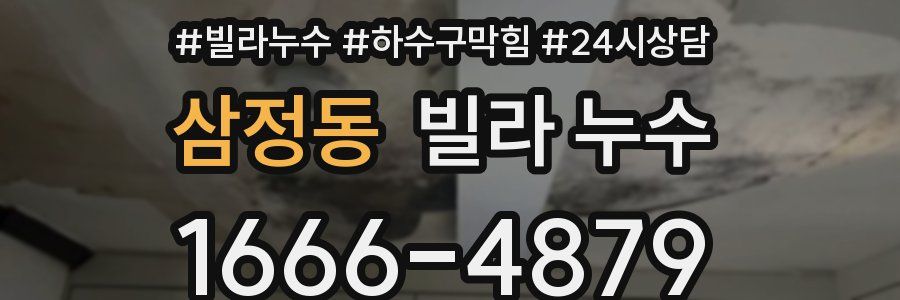 삼정동 빌라 누수