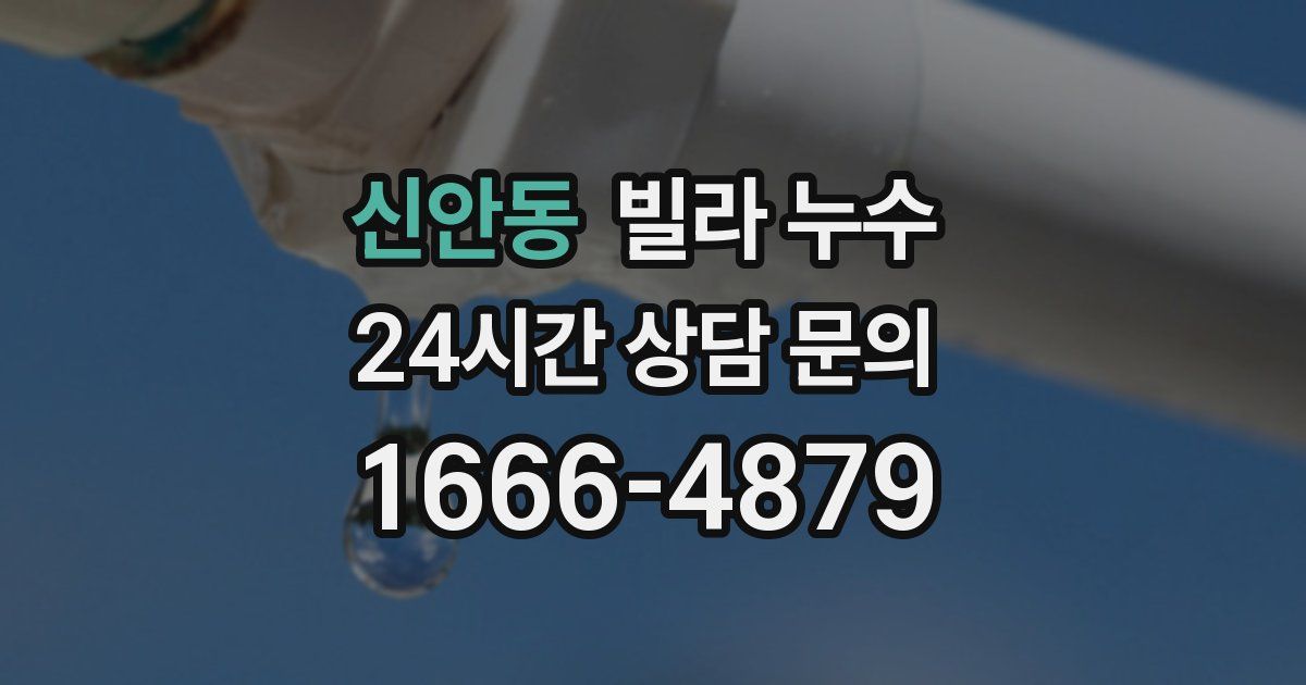 신안동 빌라 누수