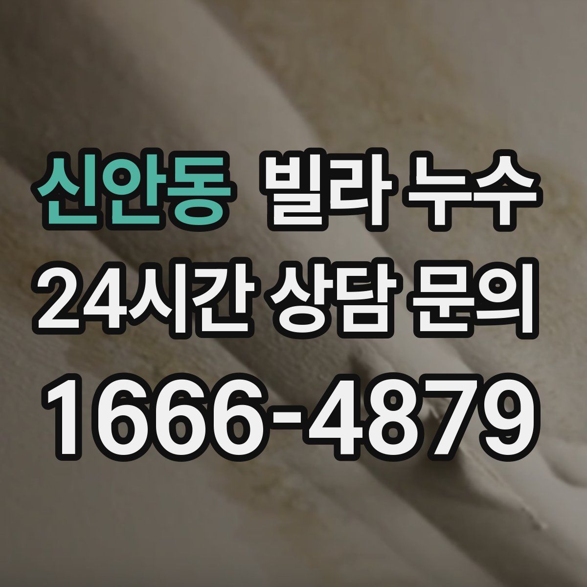 신안동 빌라 누수