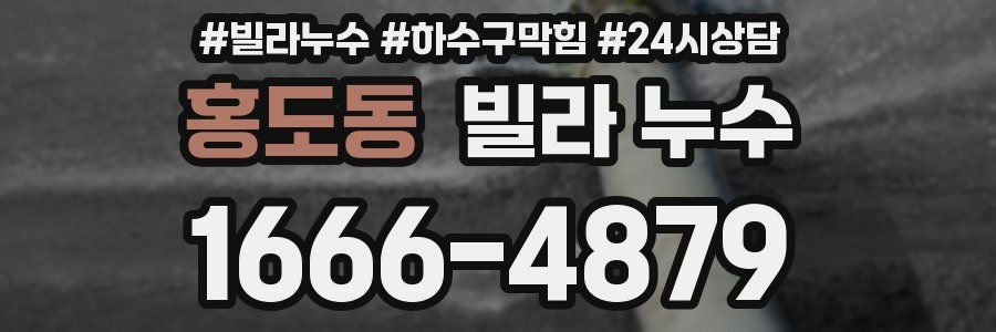 홍도동 빌라 누수