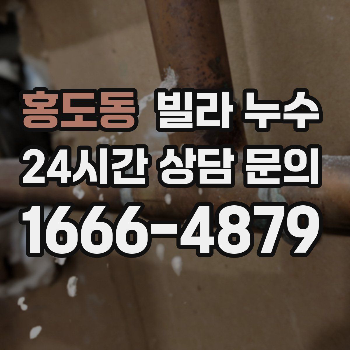 홍도동 빌라 누수