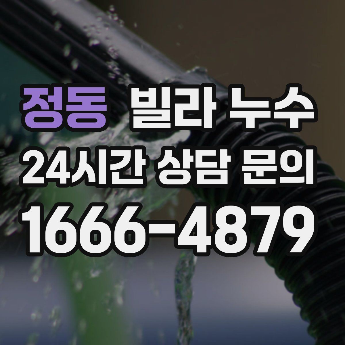 정동 빌라 누수 벽면 페인트가 부풀면 내부 습기 가능성