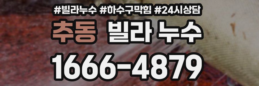 추동 빌라 누수