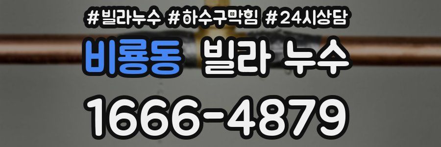 비룡동 빌라 누수