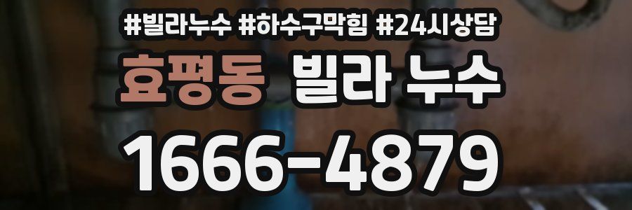 효평동 빌라 누수