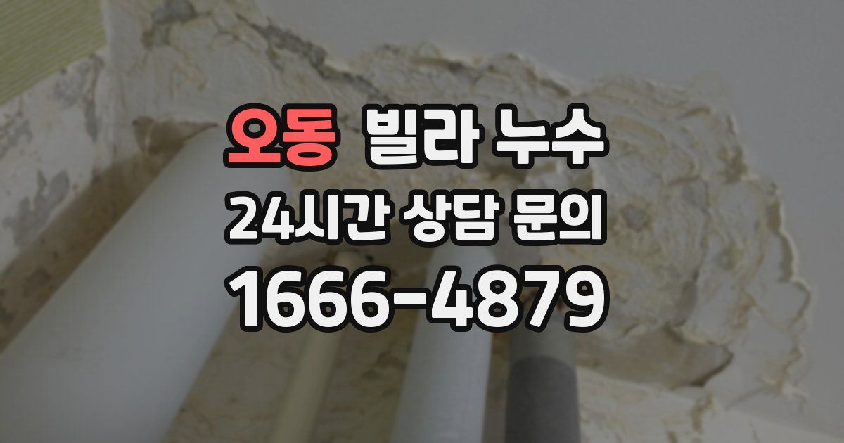 오동 빌라 누수